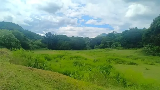 Land Development
